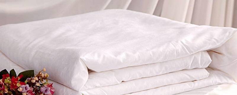 蚕丝被怎么洗涤和保养方法 蚕丝被怎么洗涤和保养方法视频