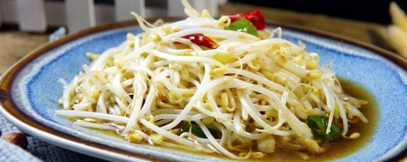 炒豆芽怎么做 韭菜炒豆芽怎么做