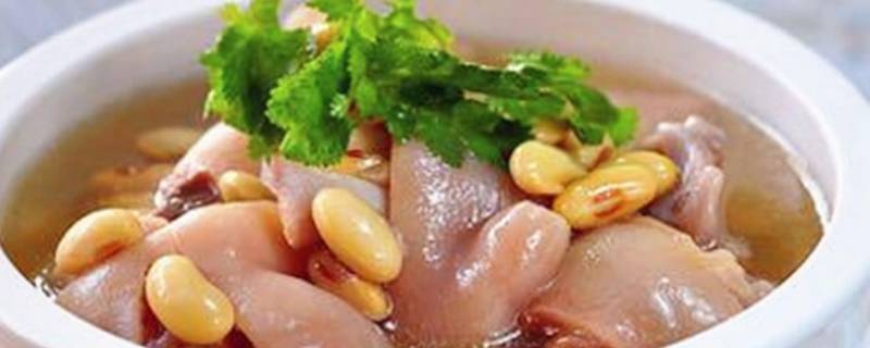 猪蹄怎么炖汤好吃又营养 猪蹄怎么炖汤好吃又营养视频