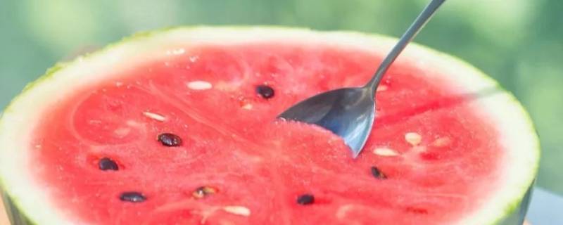 西瓜是植物类吗 西瓜是植物类吗为什么