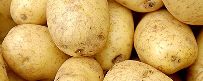 土豆切好了泡水里可以放多久（土豆切块泡水能放多久）