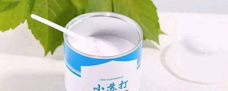 菠萝没有盐用什么代替（菠萝不用盐）