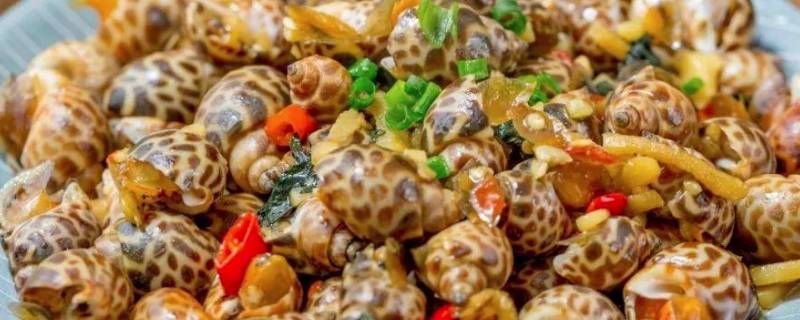 炒花螺的做法 炒花螺的做法窍门