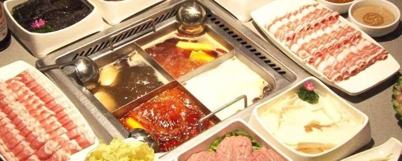 海底捞能带宠物吗 海底捞不可以带宠物吗