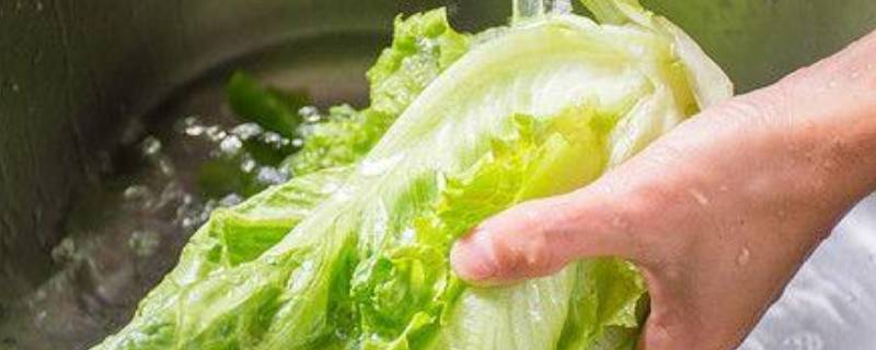 广东过年葱和生菜寓意（广东过年葱和生菜寓意放哪）