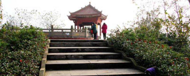 广安兔儿山公园在哪里（广安兔儿山公园最新）