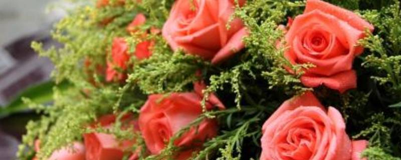 订婚花上卡片写什么字（领结婚证送花卡片写什么字）