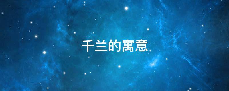 千兰的寓意（千岁兰寓意什么）