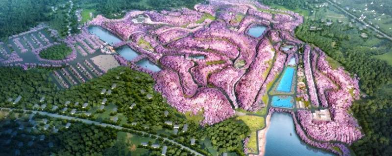 岳阳樱花园在哪里 岳阳樱花园在哪里怎么去