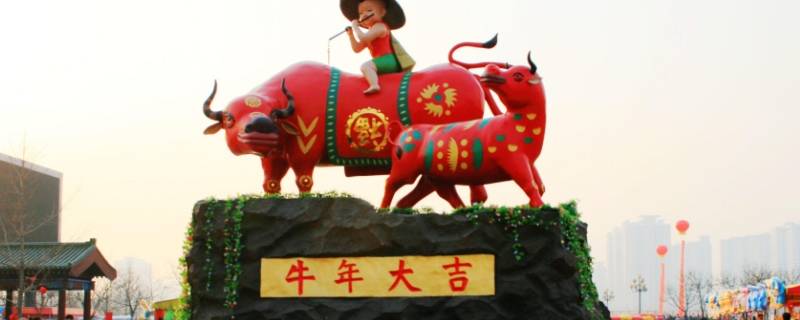 关于牛年的介绍（有关于牛年的介绍）