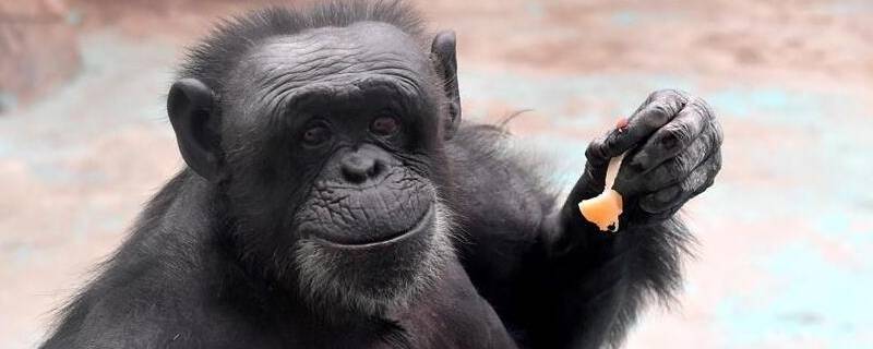 郑州动物园地铁哪一站 郑州市动物园地铁哪一站