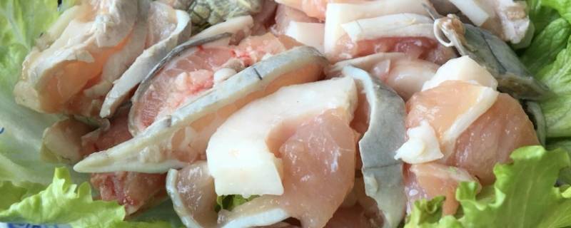 不怕打雷下大雨的动物 什么动物不怕下雨天