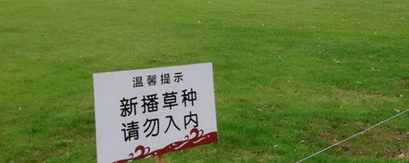 关于爱护草坪的宣传标语（关于爱护草坪的宣传标语大全）