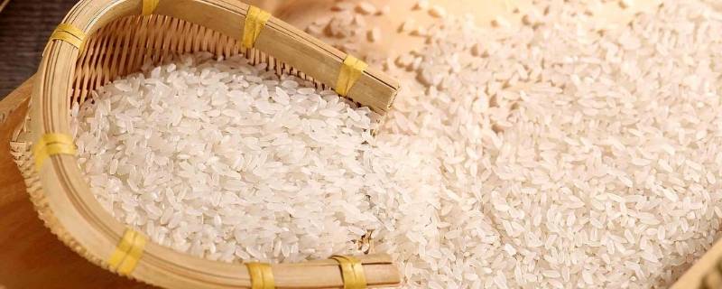 米的宣传语 米的宣传标语