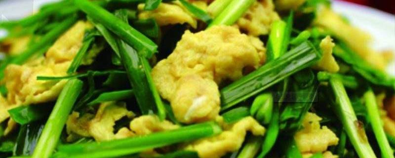 韭菜可以炒哪些东西（韭菜可以炒哪些东西好吃）