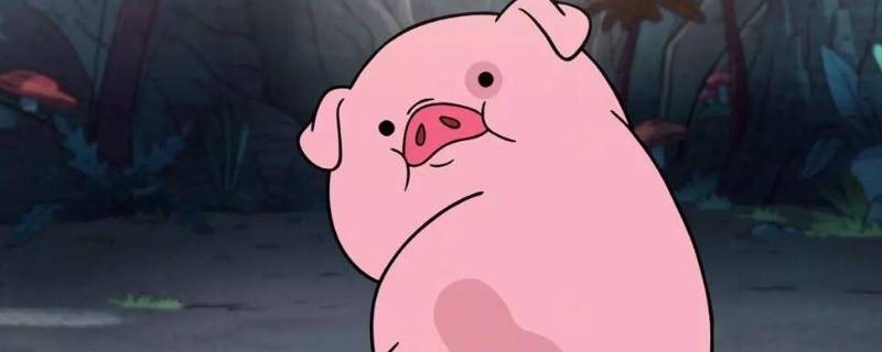 关于猪的笑话（关于猪的笑话简短）