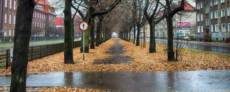 南方潮湿天气如何除湿 南方潮湿天气如何除湿衣物