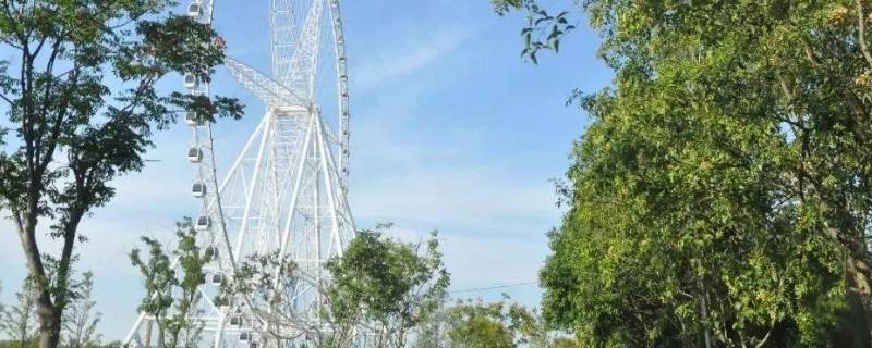 阜阳游乐场有哪些 阜阳游乐场有哪些项目