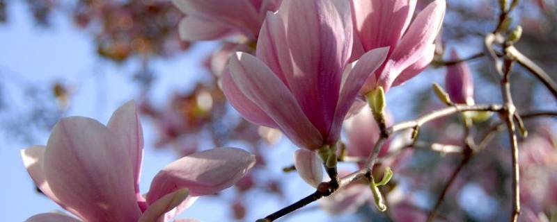 春天紫外线强吗（春天紫外线强吗?）