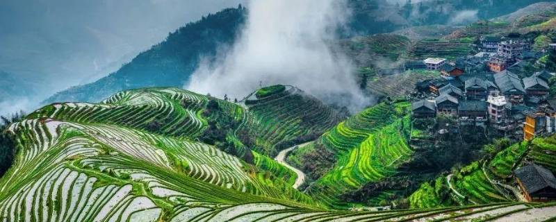 广西的习俗（广西省的风俗）