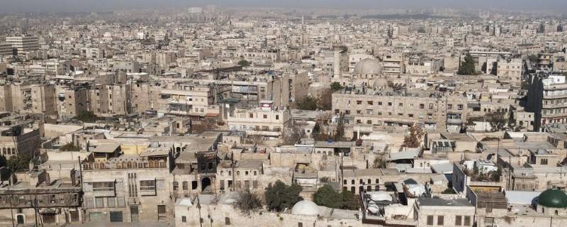 白色橄榄树东国是哪里（白色橄榄树讲的是哪个国家）