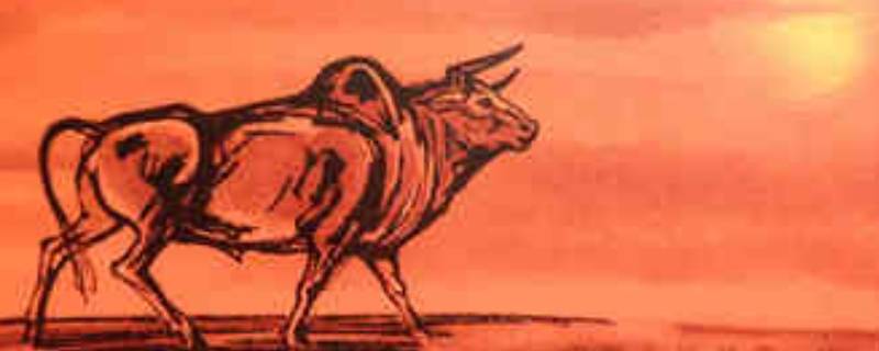 关于牛年的小知识（关于牛年的小知识有哪些）