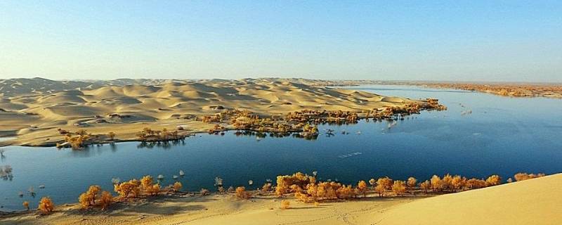 塔里木河发源地（塔里木河发源地在哪里）