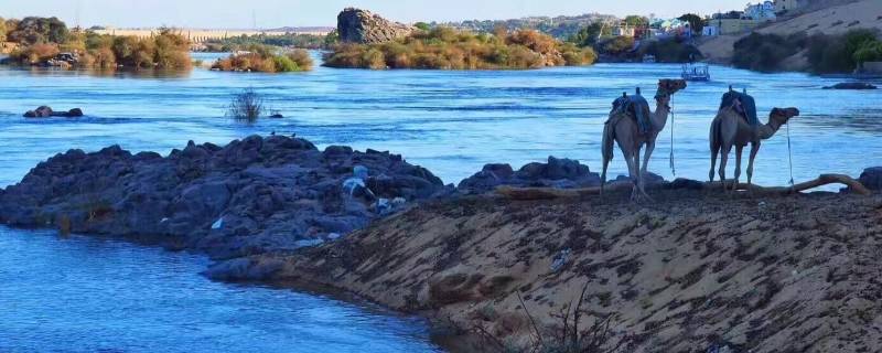 尼罗河发源地（尼罗河发源地在哪个国家）