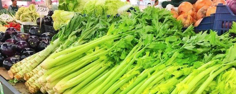 北京蔬菜批发市场有哪些 北京批发蔬菜那六大市场