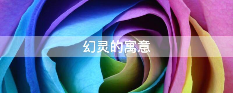 幻灵的寓意（灵寓意是什么意思）