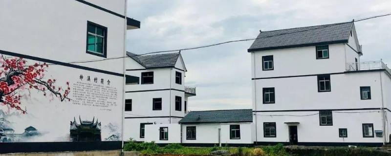 村容村貌怎么描述（村容村貌怎么描述好）