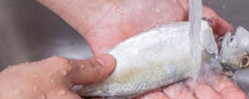 洗鱼后手上的腥味用什么可以去除 手洗完鱼怎么去腥味