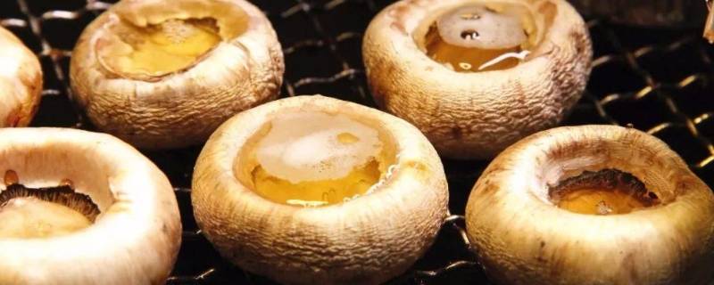 一烤就出汁的蘑菇叫什么 一烤就出汁的蘑菇叫什么名字
