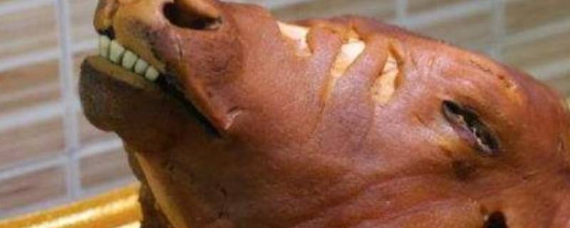 牛头的清理方法 牛头怎么清理