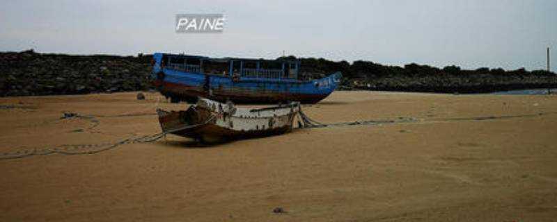 1981年沙漠里发现船在哪里（1981年沙漠里发现船在哪里爆炸）