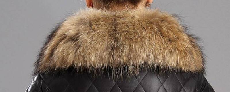 衣服上的毛领如何自己清洗（衣服毛领怎么清洗）