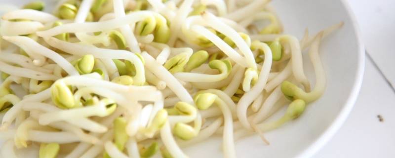 立春吃哪种菜（立春一般吃哪种菜）