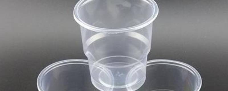 一次性杯子多少两 透明一次性杯子多少两