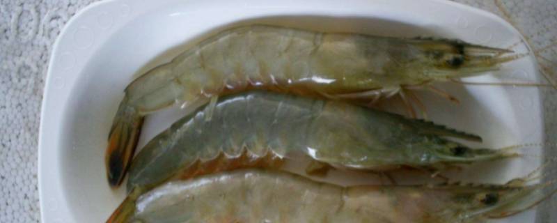 虾3040规格是什么意思 虾3040规格多大