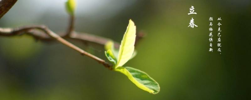 打春和立春有什么区别（打春和立春有什么区别吗）