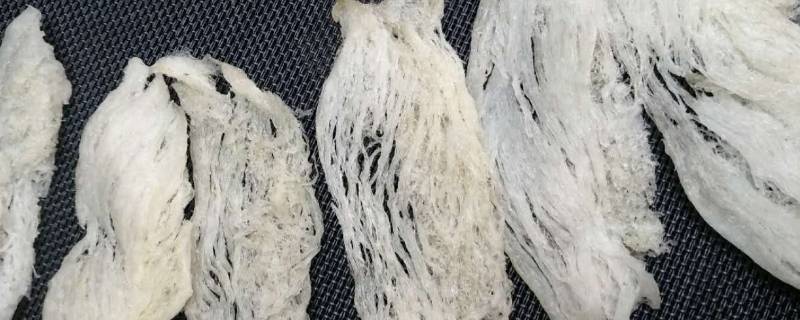 大燕条和燕盏的区别 大燕条好还是燕盏好