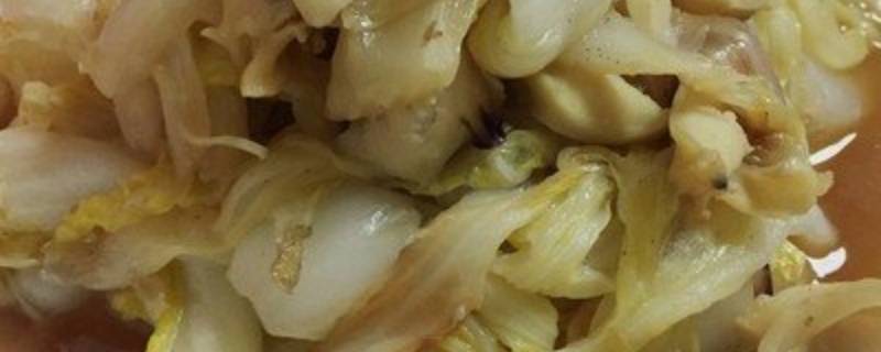 海螺炒白菜怎么做好吃（海螺炒白菜怎么做好吃视频）