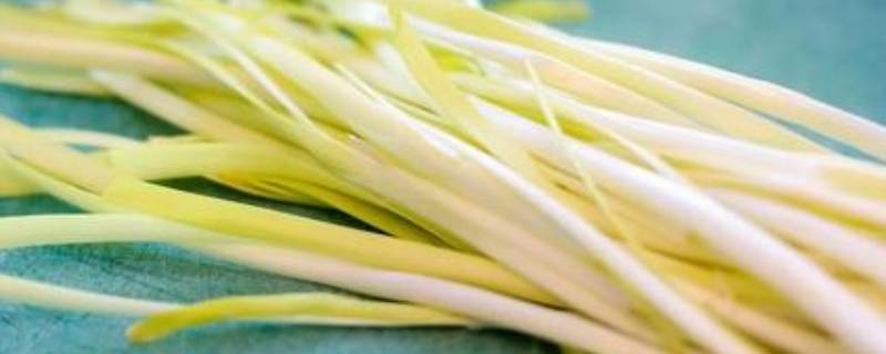 韭黄和蒜黄是一样的吗（韭黄和蒜黄是一样的吗）
