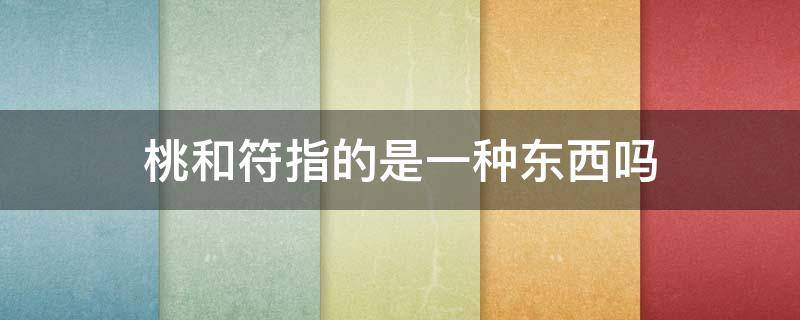 桃和符指的是一种东西吗 符中的桃和符指的是一种东西吗