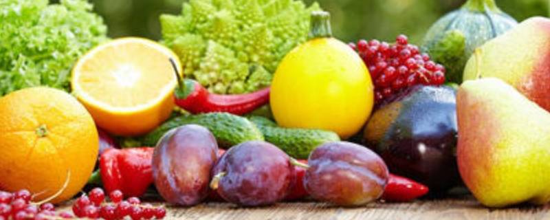 冬季应季水果和蔬菜（冬季应季水果蔬菜幼儿园）