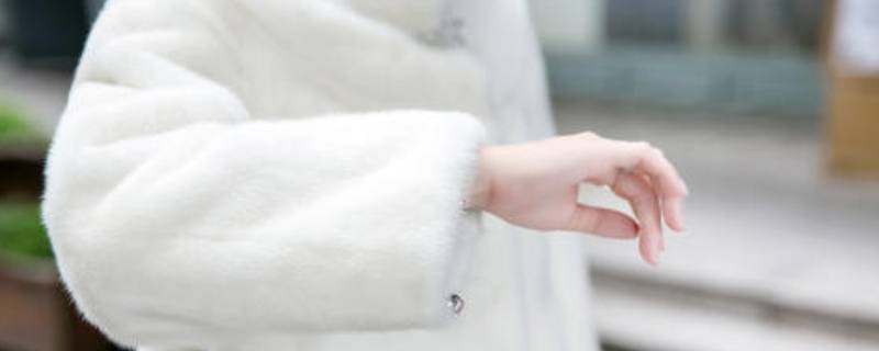 貂皮有灰尘怎么清理（貂皮有灰尘怎么清理干净）