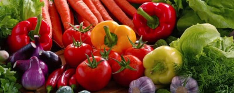常见的蔬菜 常见的蔬菜英语