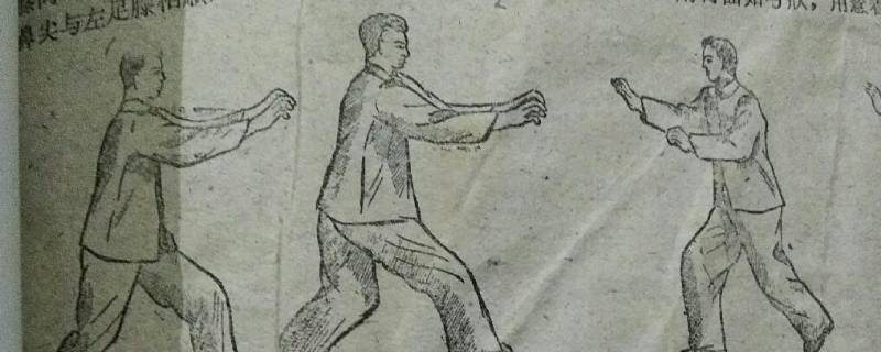 五禽是哪五畜（五禽是哪五畜图片）