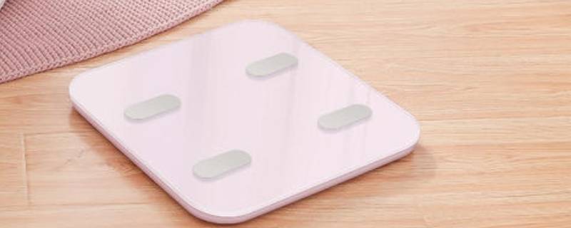体脂秤可以称体重吗 体脂秤可以称体重吗?