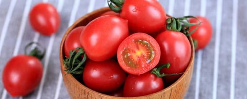 圣女果是水果还是蔬菜（圣女果为什么不建议吃）